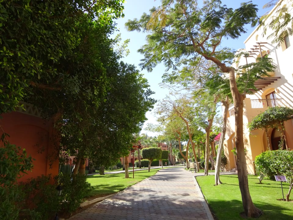 Gartenanlage Hotel JAZ Makadi Star & Spa