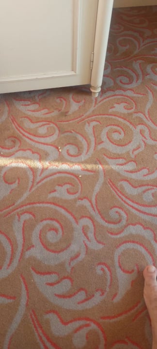 Zimmer Kremlin Palace