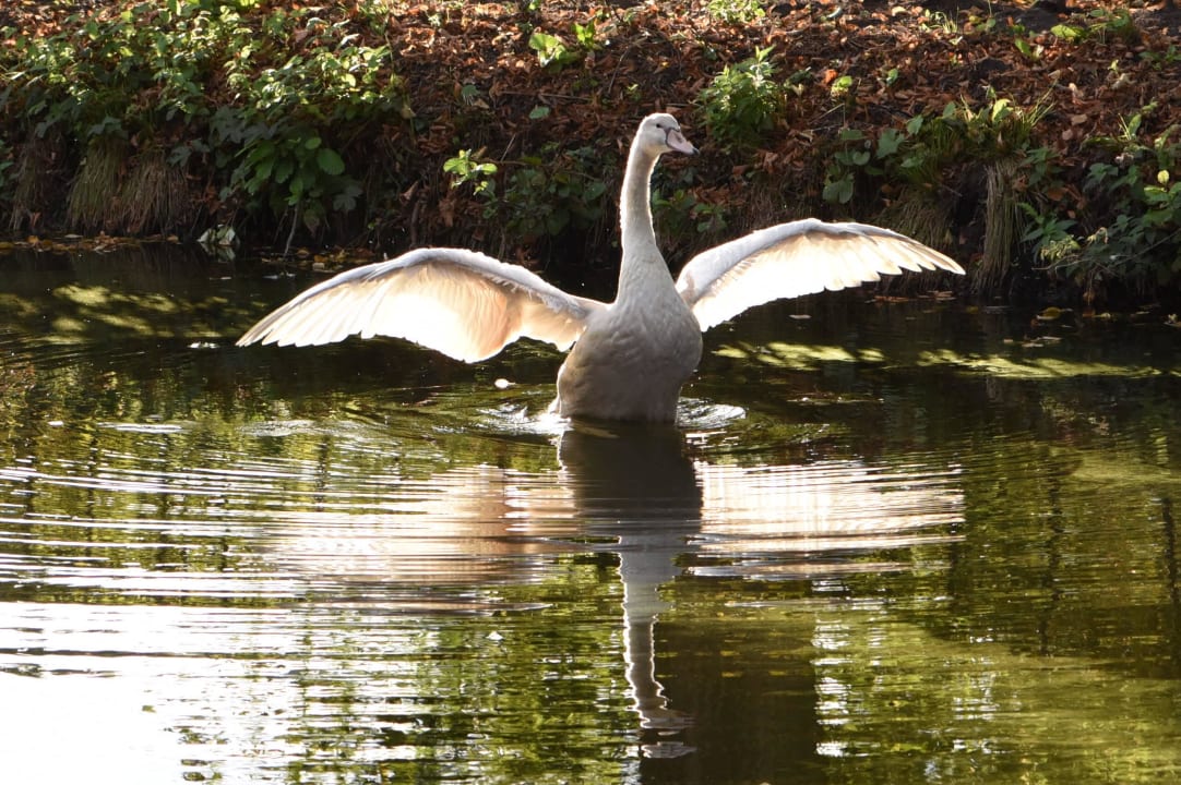 Stever hinter dem Haus Steverbett  Hotel