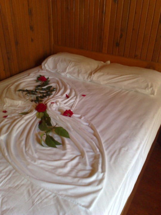 Es war immer sauber! Clover Magic Nova Beach