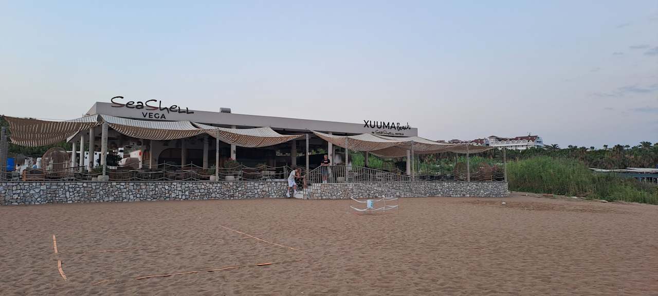 Strand Seashell Vega