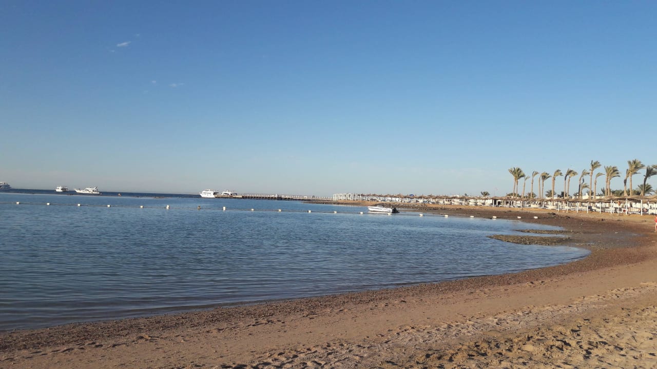 Strand, etwas steinig Pickalbatros Dana Beach Resort - Hurghada