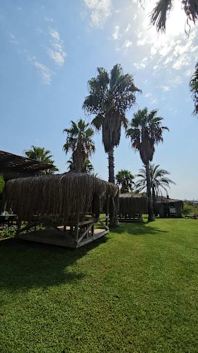 Gartenanlage Royal Atlantis Beach Hotel