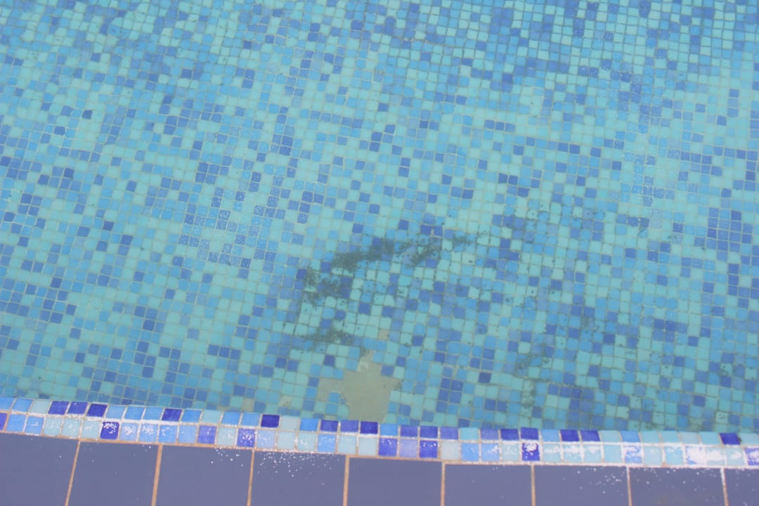 Black Mold in Pool Memories Flamenco Beach Resort