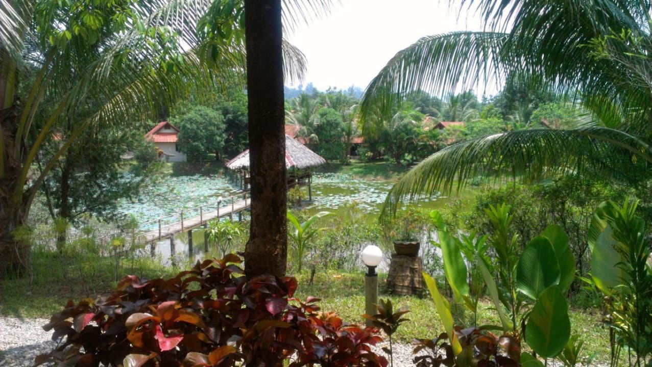 Blick durch die Anlage von der rechten Seite Hotel Khaolak Riverside Bungalow