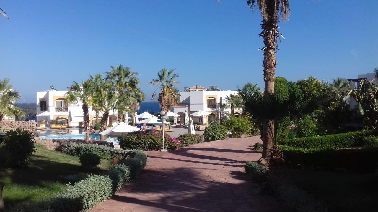 Außenansicht Amphoras Blu