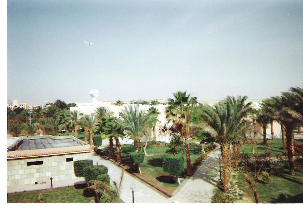 Primasol Beach Albatros Beach Albatros Resort