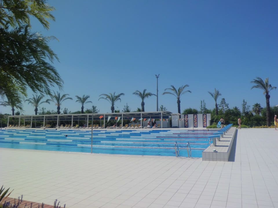 Olympisches Schwimmbecken TUI BLUE Xanthe