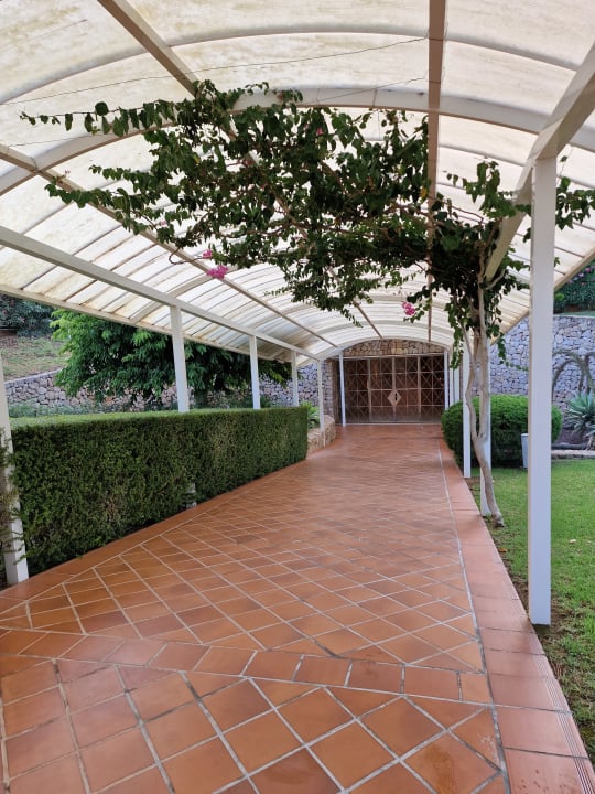 Gartenanlage Hipotels Hipocampo Palace & Spa