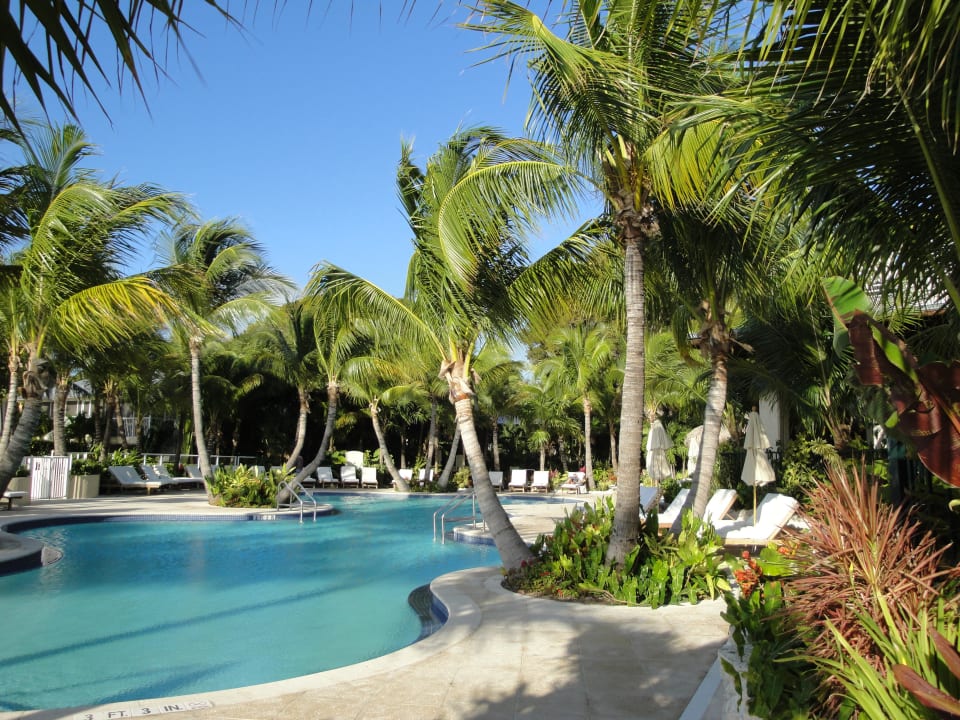 Pool Hotel Cheeca Lodge and Spa