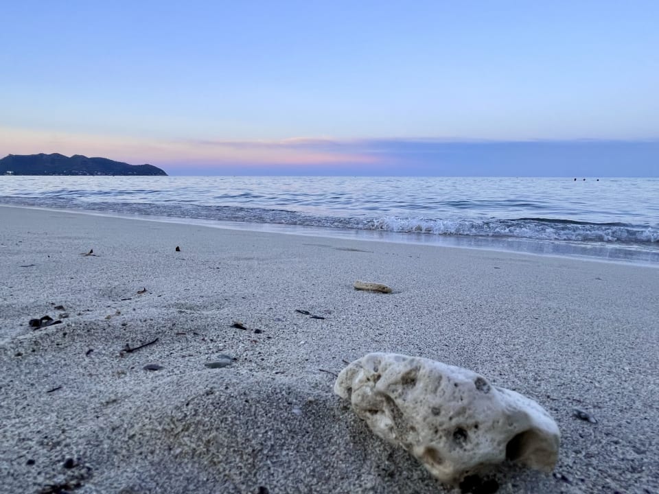 Strand CM Playa del Moro