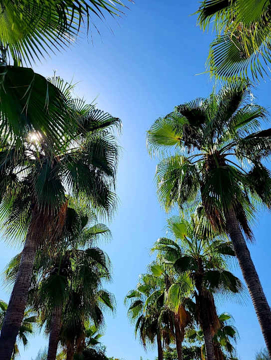 Außenansicht Sentido Trendy Verbena Beach