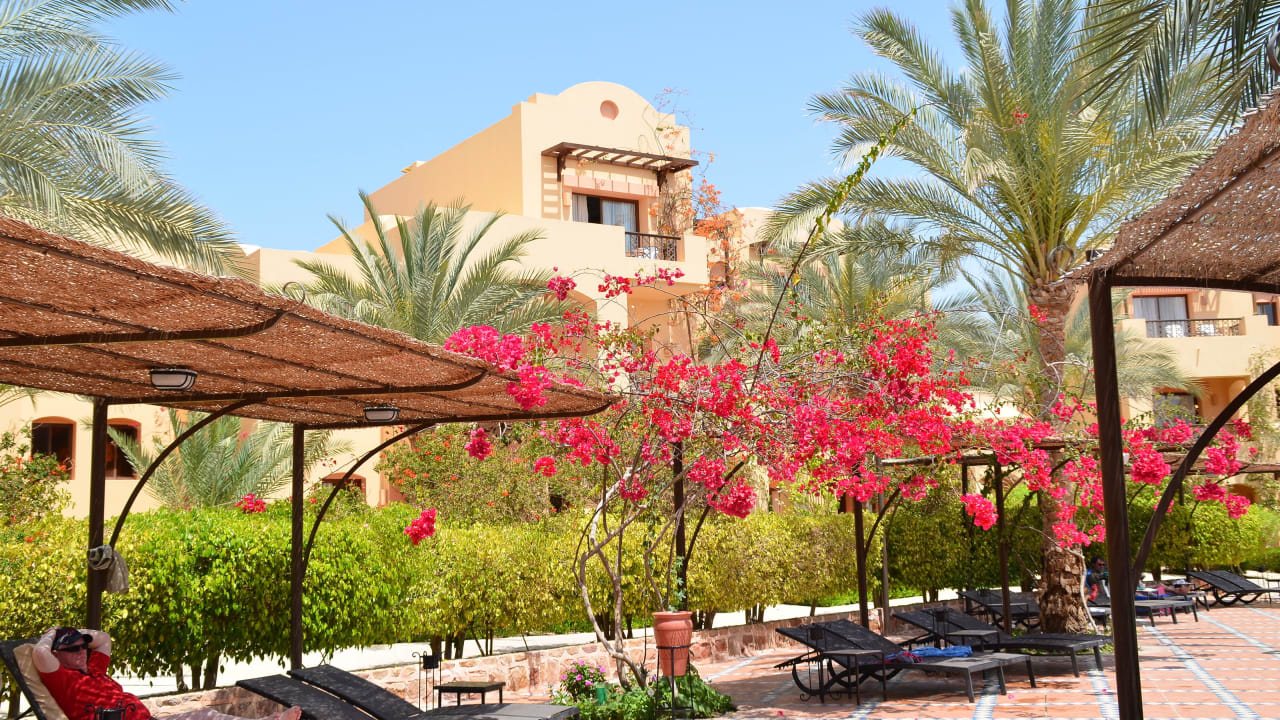 Blühende Pracht am Pool Steigenberger Coraya Beach - Adults only