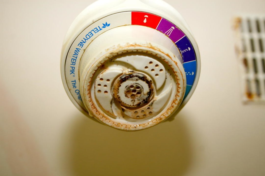 Bad Hotel Golden Nugget Beach Club