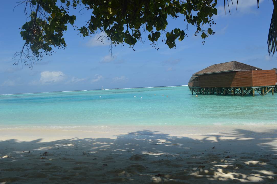Wunderschön Meeru Maldives Resort Island