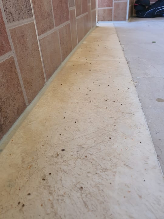 Zimmer Hotel Kalithea Mare Palace