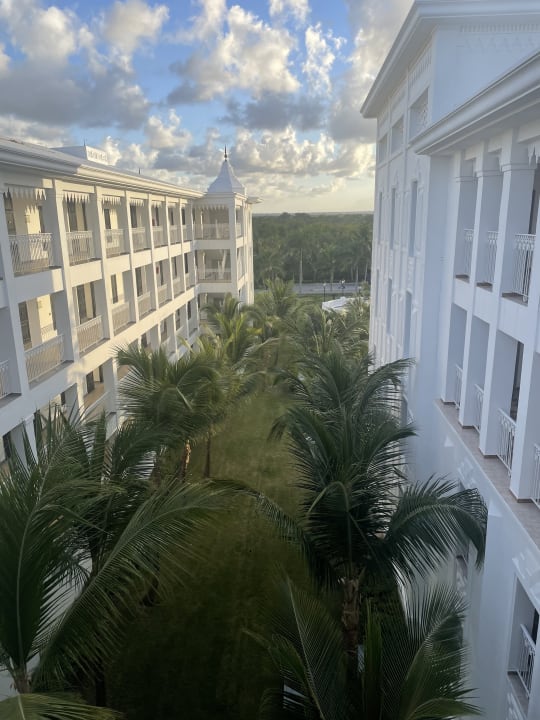 Ausblick Hotel Riu Palace Punta Cana