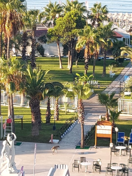 Ausblick Süral Saray Hotel