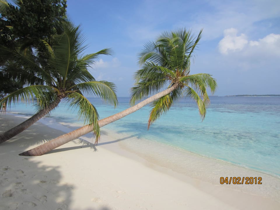 Einsam Vilamendhoo Island Resort & Spa