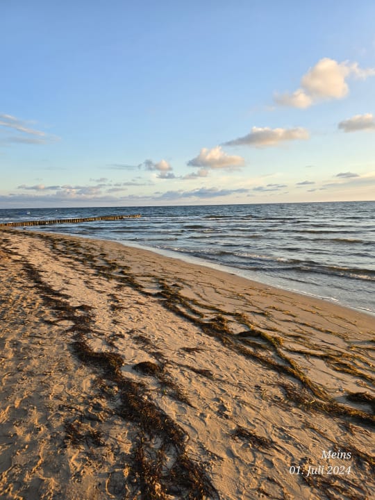 Strand Hafenhotel Meereszeiten