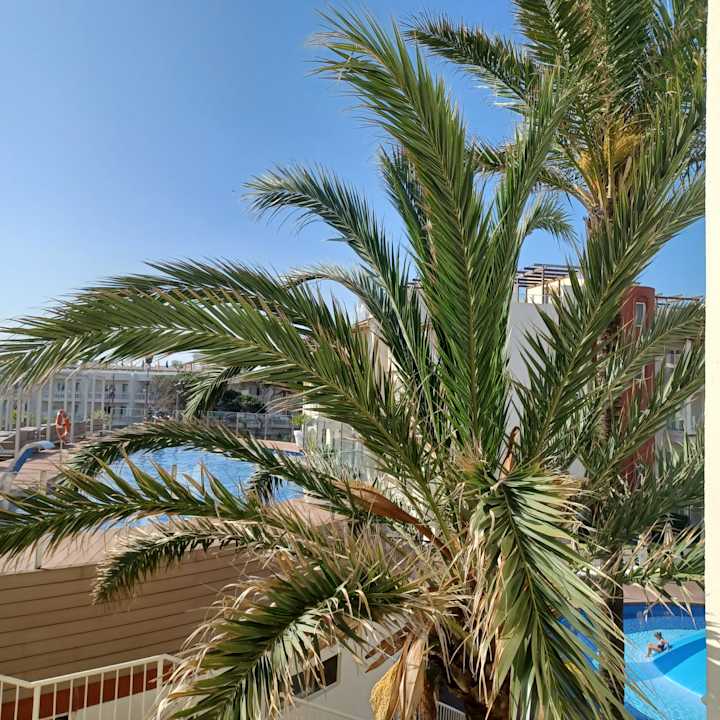 Ausblick Zafiro Bahia