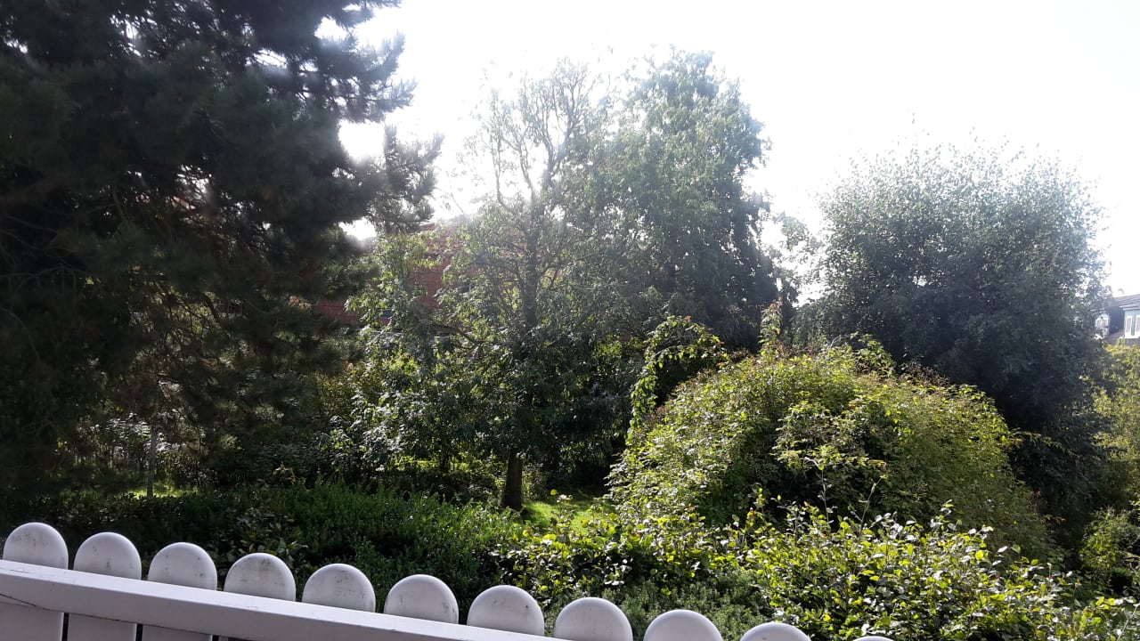 Ausblick Haus am Park