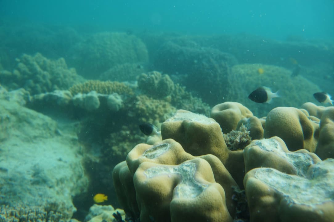 Unter Wasser Hotel Chumbe Island Lodge