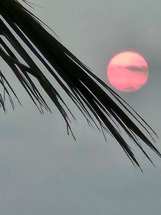 Ausblick Thien Thanh Resort