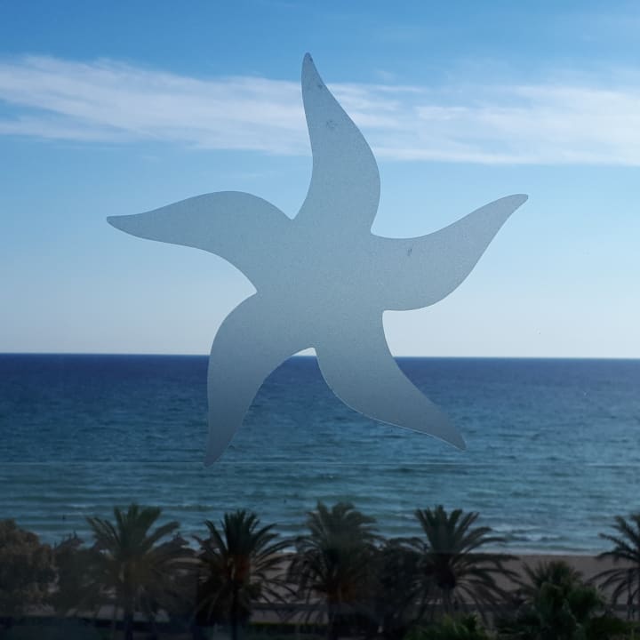 Ausblick Iberostar Waves Bahia de Palma