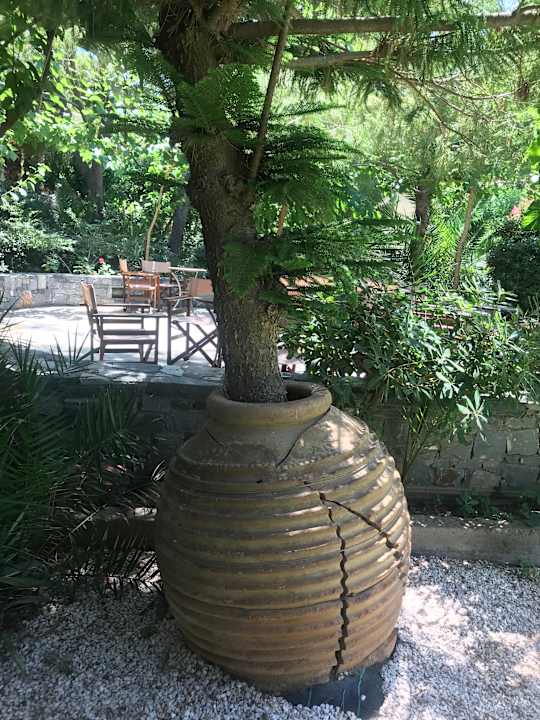 Gartenanlage Apollonia Beach Resort & Spa