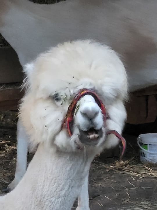 Sport & Freizeit Natur Resort Rissbacher