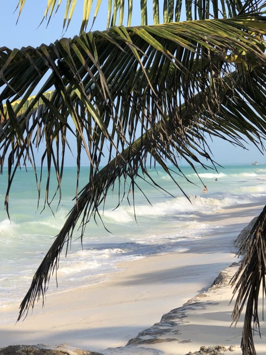 Strand Neptune Pwani Beach Resort & Spa