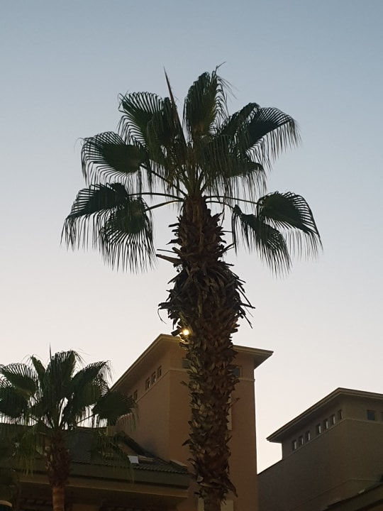 Gartenanlage Can Garden Resort