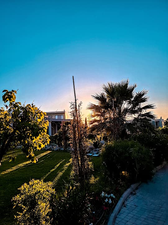 Gartenanlage SENTIDO Port Royal Villas & Spa