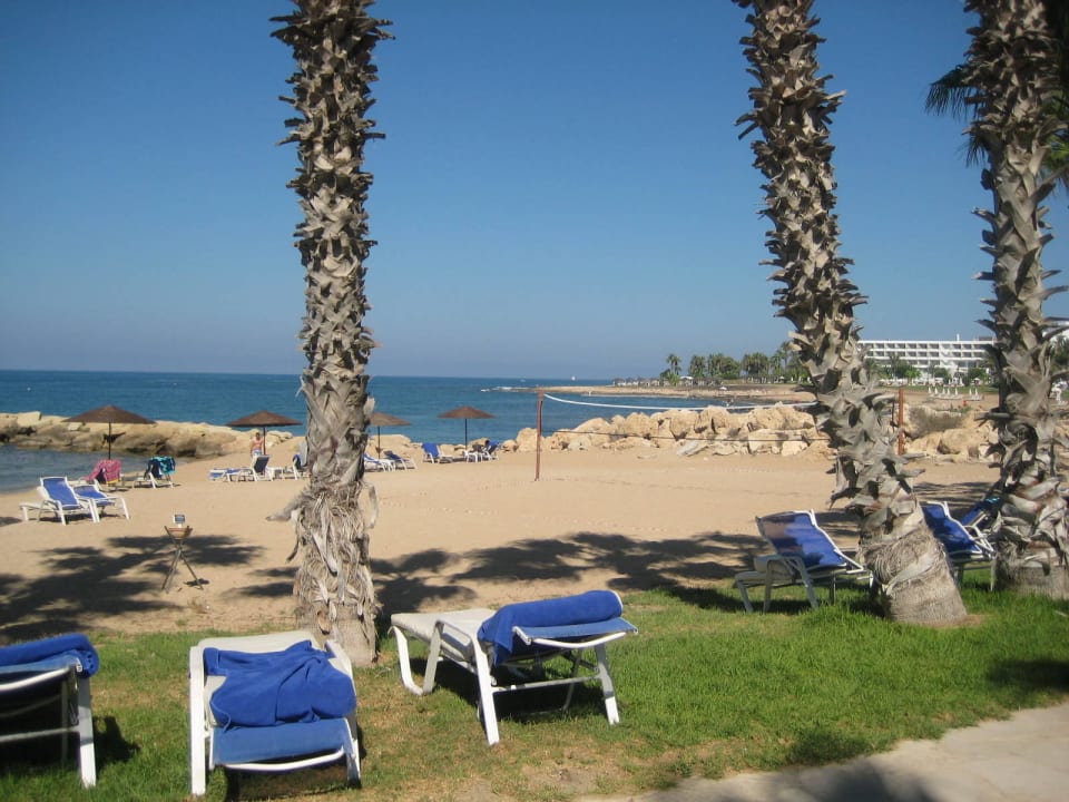 Strand mit Liegewiese Louis Ledra Beach