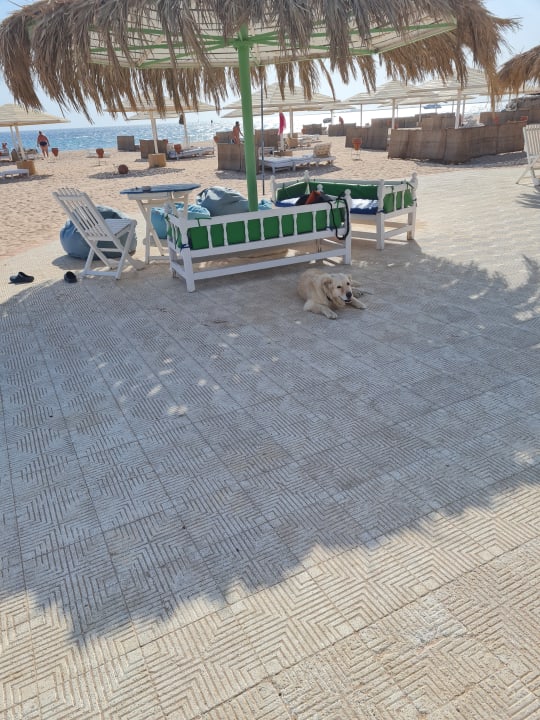 Strand Menaville Safaga