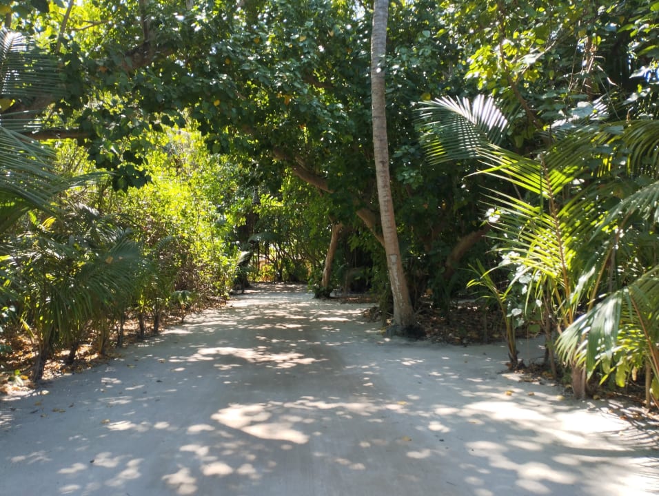 Gartenanlage Kuredu Island Resort & Spa