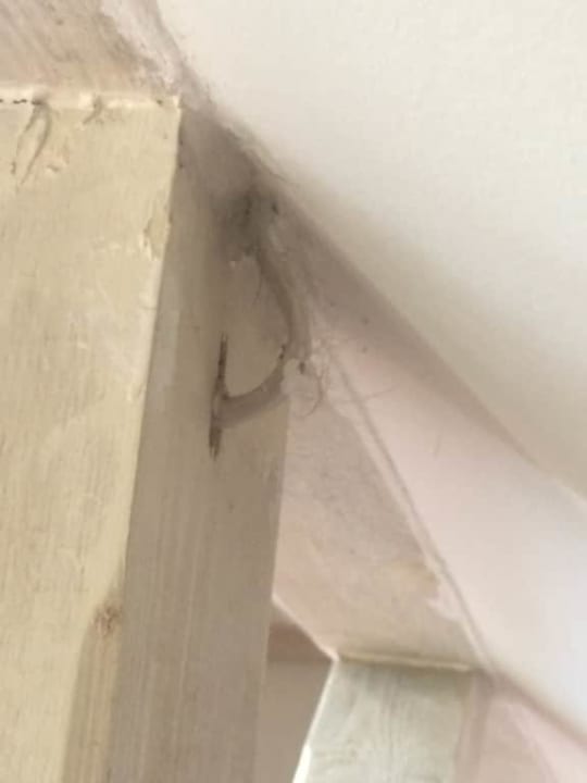 Pajęczyny i pająki w apartamencie za 350zl Hotel Aleksander