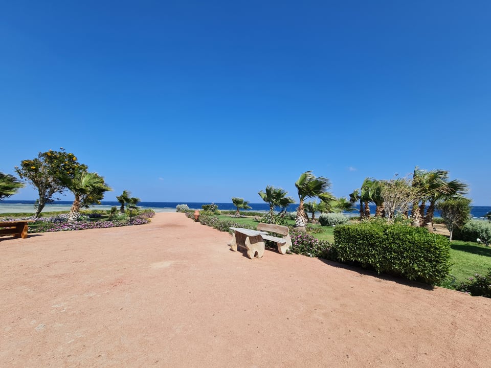 Gartenanlage Three Corners Equinox Beach Resort