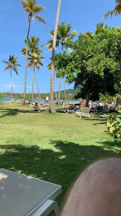 Gartenanlage Wyndham Alltra Samana