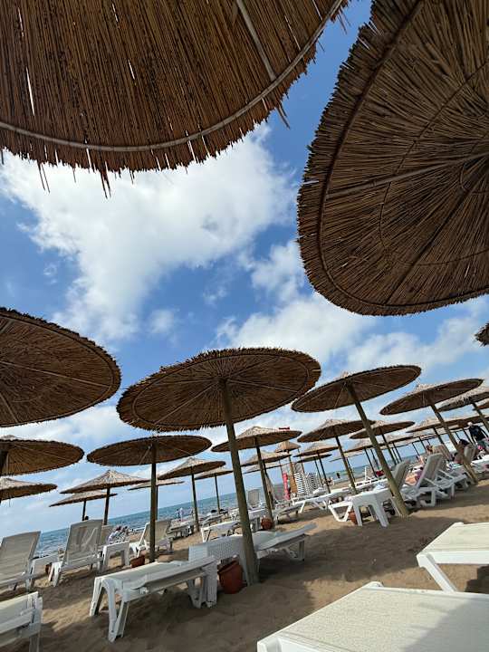 Strand Dream Fun World