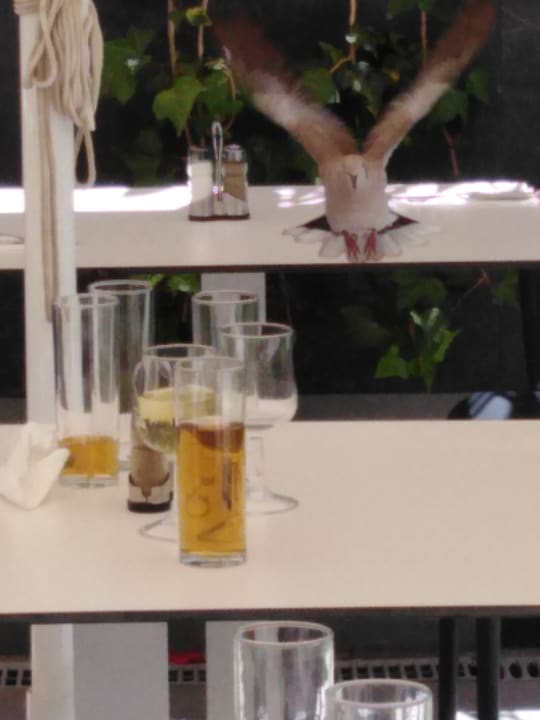 Gastro LABRANDA Marieta - Adults only