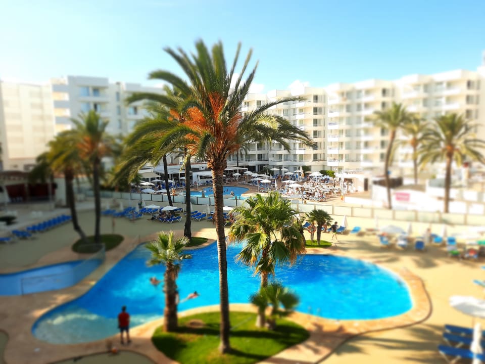 Pool Aparthotel Playa Dorada