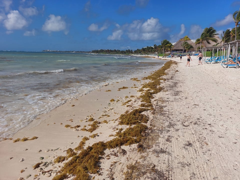 Strand Akumal Bay Beach & Wellness Resort