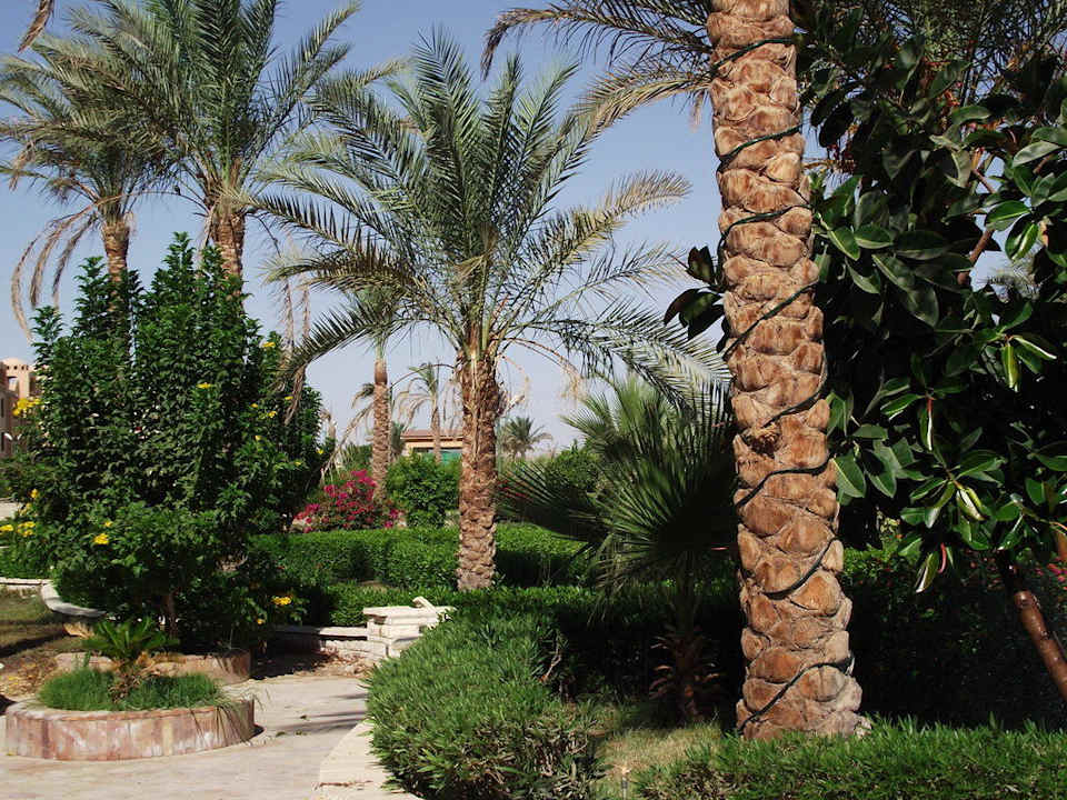 Сад Riviera Aqua Park Resort