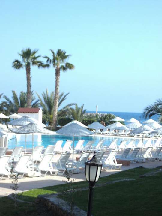 Pool Oscar Resort Hotel