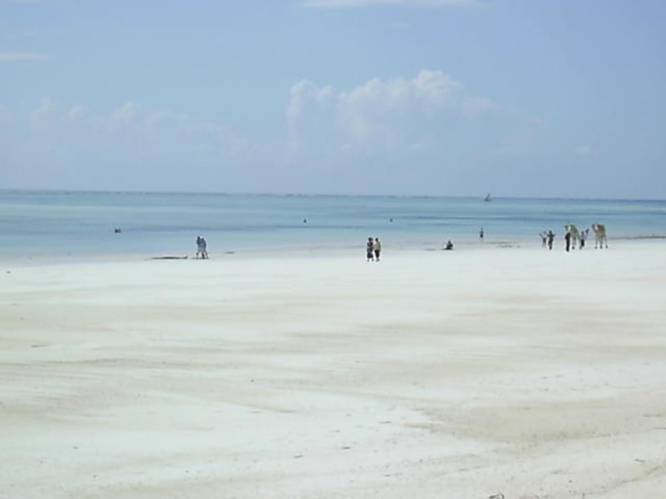 Traumstrand Neptune Paradise Beach Resort & Spa