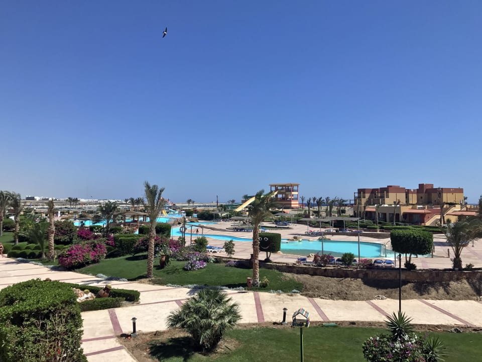 Pool Malikia Resort Abu Dabbab