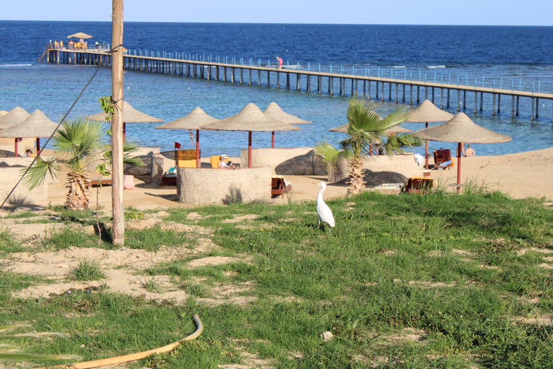 Strand Three Corners Happy Life Beach Resort