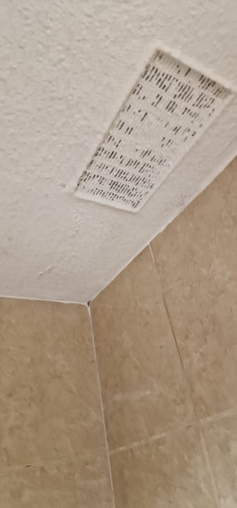 Zimmer Globales Acuario